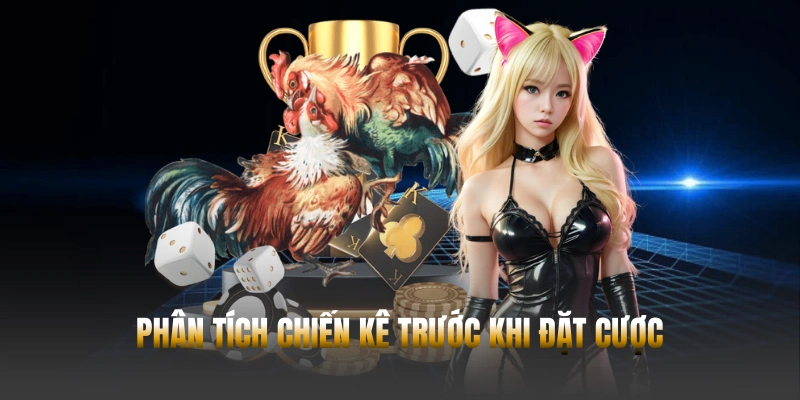 Đánh giá chiến kê kỹ lưỡng trước khi đưa ra quyết định cược